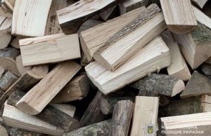 Підготовка до зими: шахраї ошукали жителя Тернопільщини під приводом продажу дров