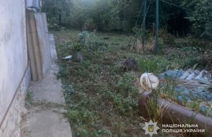 За фактом жорстокого поводження з тваринами лановецькі поліцейські розпочали кримінальне провадження