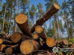 Понад 4,5 млн грн збитків: на Тернопільщині виконувачу обов’язків директора одного з комунальних лісогосподарських підприємств повідомлено про підозру у службовій недбалості