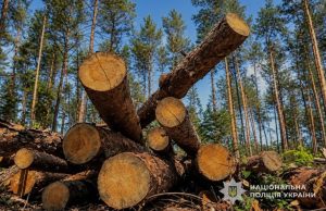 Понад 4,5 млн грн збитків: на Тернопільщині виконувачу обов’язків директора одного з комунальних лісогосподарських підприємств повідомлено про підозру у службовій недбалості