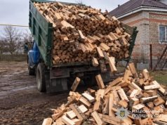 Шахрайське оголошення про продаж дров у соцмережах обернулося для жителя Тернопільщини втратою 24 тисяч гривень