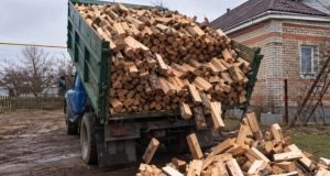 Шахрайське оголошення про продаж дров у соцмережах обернулося для жителя Тернопільщини втратою 24 тисяч гривень