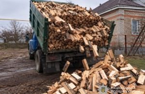Шахрайське оголошення про продаж дров у соцмережах обернулося для жителя Тернопільщини втратою 24 тисяч гривень